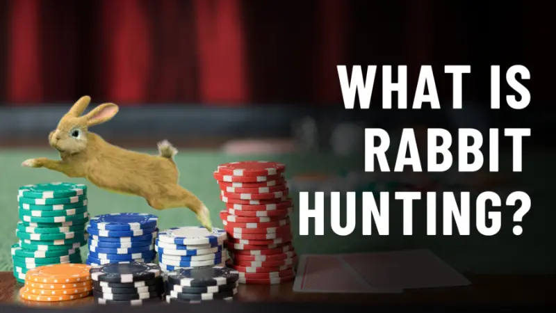 Rabbit trong Poker là một tùy chọn thú vị trong trò chơi